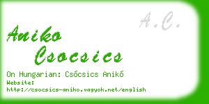 aniko csocsics business card